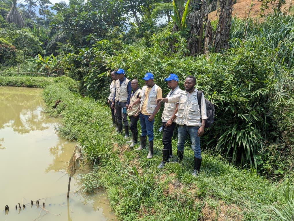 Suivi post - activité à bunyakiri  dans le territoire de Kalehe.